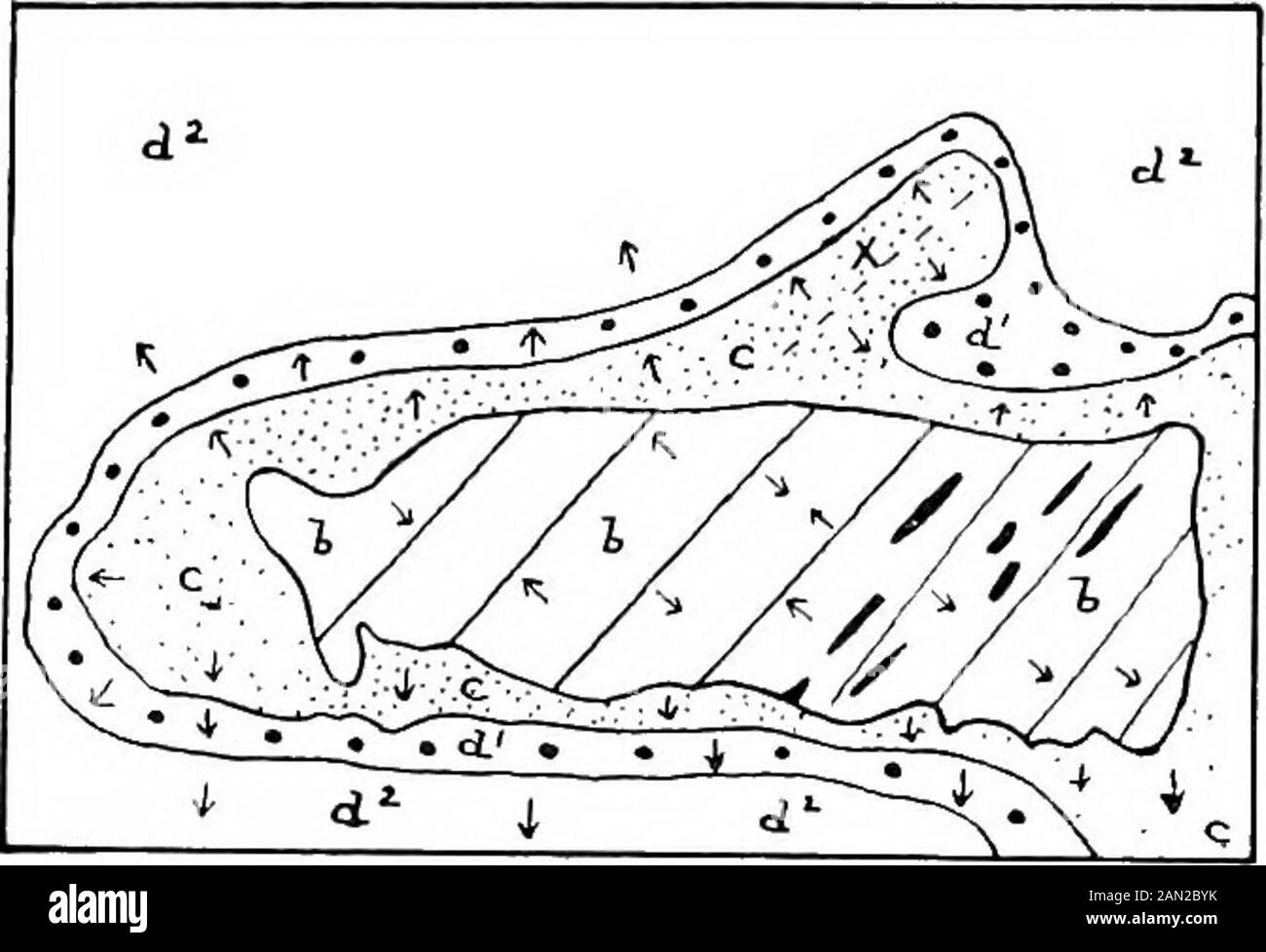 Cartes géologiques et topographiques, leur interprétation et leur utilisation, un manuel pour le géologue et l'ingénieur civil . ong la sameline est exposée par le grand anticlinal du Weald, qui peut être montré avoir déménagé en pré-crétacé, post-crétacé et pré-Eocène, post-Eocène et pré-Pliocène, et enfin en temps post-Pliocène. Le cas le plus compliqué dans lequel le repliement le long de l'axe asecond est intervenu entre les premiers et les seconds mouvements d'un pli primaire est bien illustré par une caséedu Sud de l'Irlande (Commission géologique de l'Irlande, carte de 1 pouce, feuille 156; voir aussi la Fig. 42). Ici dans le TH Banque D'Images