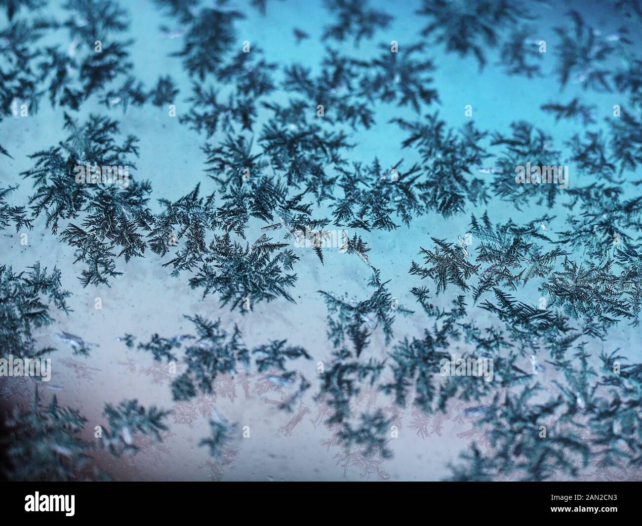 L'eau congelée tombe ressemble à un pins sur la surface en verre bleu clair Banque D'Images