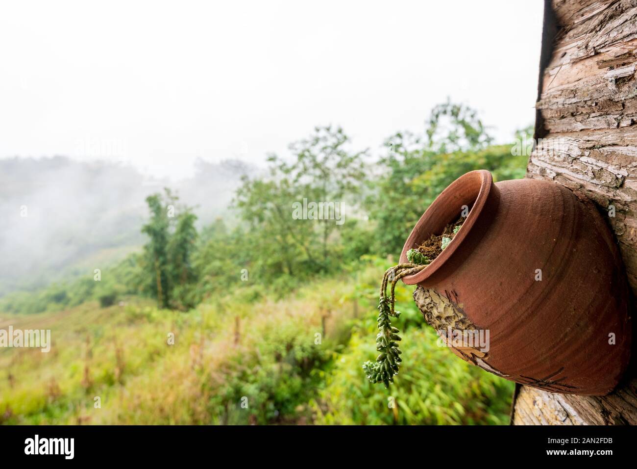Un pot en argile avec des fleurs en se bloque à partir d'une cabane en bois trouvés dans le village de Sapa pendant un matin brumeux Banque D'Images