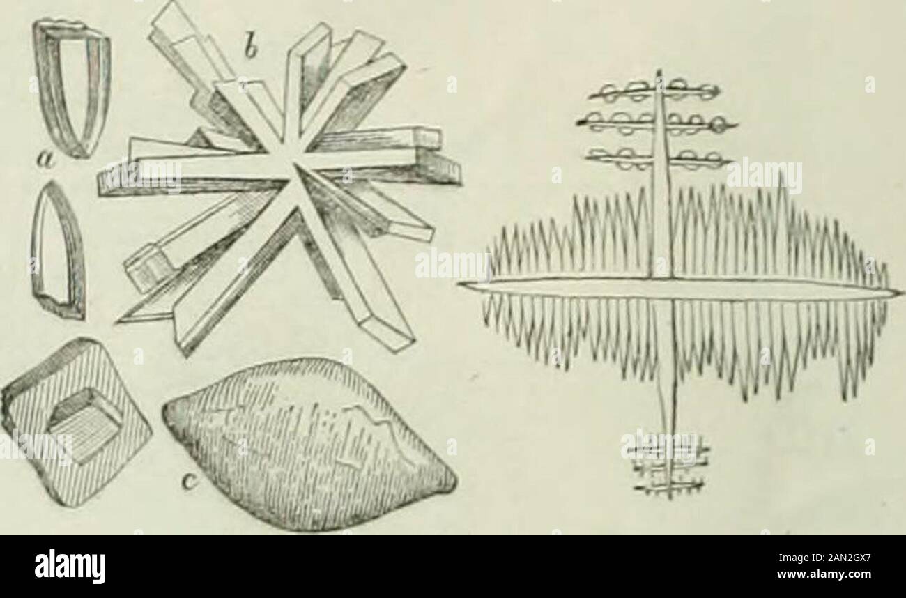 L'illustration : journal universel . 6 s. T. £ ç. 10. Dans les extraits qui sont préi è prêté, nous allons pointer en la pré-tention de d icr une analyse complète du leurre de M. M. M I. nous nous nous s, ics hiu ne- a quel pites fragments pris au basai d. son exposition csi simpleetcliairc.son érudili ;de i aloi. Un point d'eu pour citer; m chapitre, sur le trouve lindication de tous te- ouvrages- quon pourra c ulter ave,- fruit sur le sujet que nie dans celle partie de louvrage. Sa prnli| poie,,,de ehaq tant. Dobi ation, f , propnpilati ? La Pli. ? Lail pi es qui aux fées ,. UL ajoulr i esseurs, el Congr- es Banque D'Images