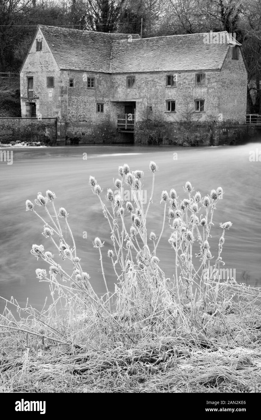 Le moulin et la rivière Stour à Sturminster Newton, Dorset, Angleterre Banque D'Images