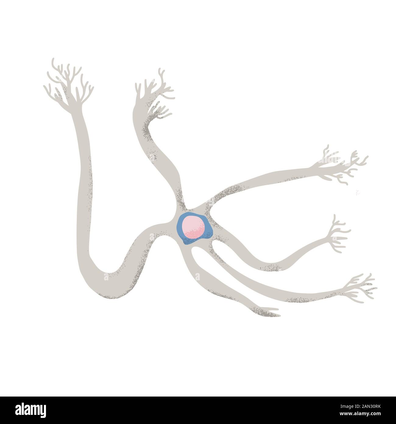 Cellule neurone avec axones longs. Illusoire vectorielle. Illustration de Vecteur