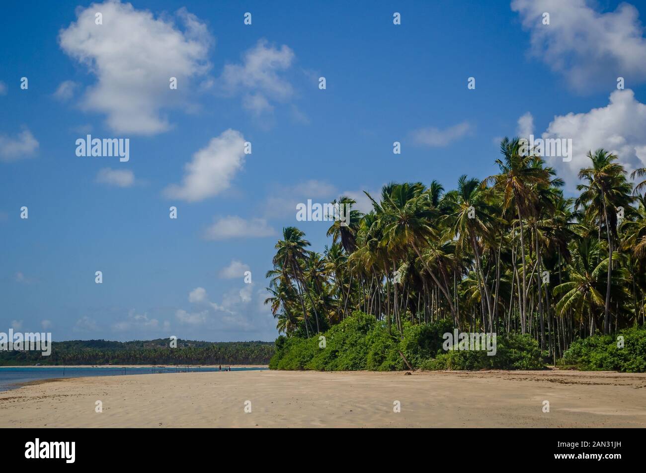 Sur "paysages de l'île de Boipeba, des plages de Bahia, Brésil Banque D'Images
