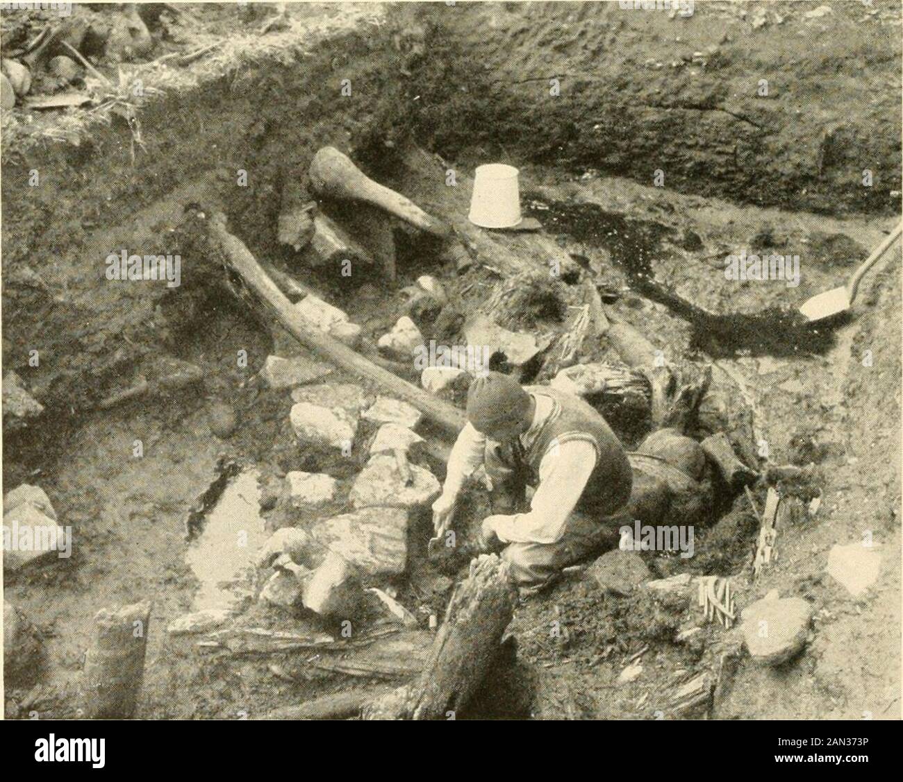 Explorations et travaux sur le terrain de la Smithsonian institution en .. . Fig. 56.—les ruines d'une ancienne liuuse d'Eskiniu, iuund dans le site abandonné du pays de Galles. En raison du sol gelé de façon permanente, 2 mois de creuser soigneusement ont été nécessaires pour révéler les caractéristiques structurelles ici illustrées. Fig. 57.— i il rhums 01 une autre structure a trouvé ni le même midden. 64 Banque D'Images