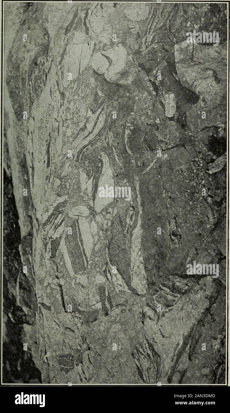 Excursions . llis. Elle a du être fluide au début et cest probable-ment un ancien bitume que la chaleur des roches éruptivesprofonnelles a dû faire sortir ( es schistes carbonatés. Commeces ardoises noires sont les roches les plus tendres de la région ont. Particulièrement souffert de lérosion et la plupartdu temps elles sont couverte de sédiments lacustres. Le grès de Chelmsford est dun gris foncé, et peutpresque passer pour un griswacké. Il renferme de nom-breuse et grosses concrétions ovales de calcaires impurs.Lorsque les canapés Animikie furent entraînées dans ungrand plisme syncli Banque D'Images