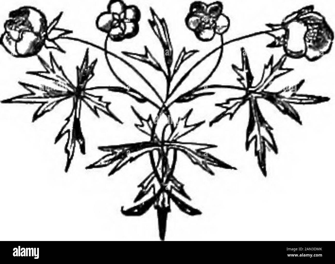 Paroles de Kentish, sacrées, rurales et diverses; . s,La chanson des anges divine. Sur le large océan—dans le désert de rêve—Dans les villes surpeuplées—oer la forêt large—Où le malade Lui en douleur et en souffrance fatigué—De la morn à eventide. Dans la sombre région du Groenland, au pôle arctique, Où les pauvres Esquimaux se contentent de se tapir, Où que l'homme se trouve, et où les saisons roulent, l'étoile de Bethléem sourit. 36 Lyrics De Kentish. Et les harmonies d'ange sonnent encore doucement Sur nos têtes, et tous nos sens thrillWith chansons immortelle - joie et amour abondent, paix douce et bonté divine - Nos chansons de Noël sont des anges des chansons répétées, Et Banque D'Images