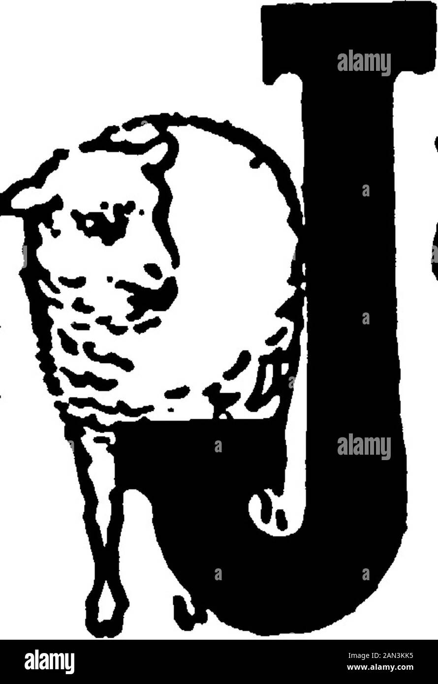 L'infirmière canadienne . Le Coordonnateur Du Comité Des Finances—Mme Wm. Daw., Responsable Du Comité Du Programme—Mlle Phillis Dean. Organisateur De L'Adhésion Et Du Comité De Visite—Mlle Edna Payne. Organisateur du Comité général des soins infirmiers—Mlle B. A. Birch. Représentante de l'infirmière canadienne—Mlle E. Wright.- ASSOCIATION DES ANCIENS DE L'HÔPITAL HOMÉOPATHIQUE. MONTRÉAL, QUE. Son Honneur le Président, Mme H. Pollock, surintendant des infirmières et infirmiers Hos-pital homéopathique; présidente, Mlle E. Routhier, 4, avenue Oldfield; vice-présidente, Mlle J. Ryan.306, rue Prince Arthur, Ouest; secrétaire, Mlle D. W. Miller Teasurer, Mlle M. J.Boa, H. Banque D'Images