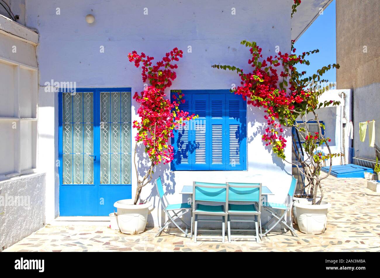 Une maison typique dans le village traditionnel de Megalochori à Santorin, Grèce avec des murs blancs, des portes et fenêtres bleues et des fleurs de bougainvillea. Banque D'Images