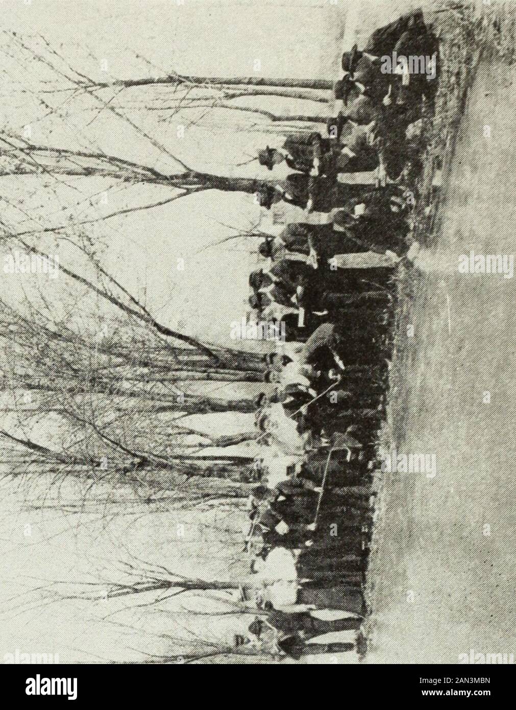 Catalogue annuel de la Southern Illinois Normal University, Carbondale, Jackson County, Illinois, 1875-1892 . se composition basée sur les quatre premiers livres est tirée de HalesLatin composition. Grammaire Latine De Hale Et Bucks. Septième Terme, (F). Orations de Cicero. Les trois premiers contre Catiline avec des sélections de Sallures Catiline et prose composition. Huitième Mandat, (E). Cicéron. Le quatrième contre Catiline résiste à des sélections de Sallust, aux orations de la Loi Manilienne et du poète Archias. Daniells Prose Composition. (D). Neuvième Mandat. Ovid. Sélections à partir des métamorphoses, environ 1 500 versets. Purée Banque D'Images