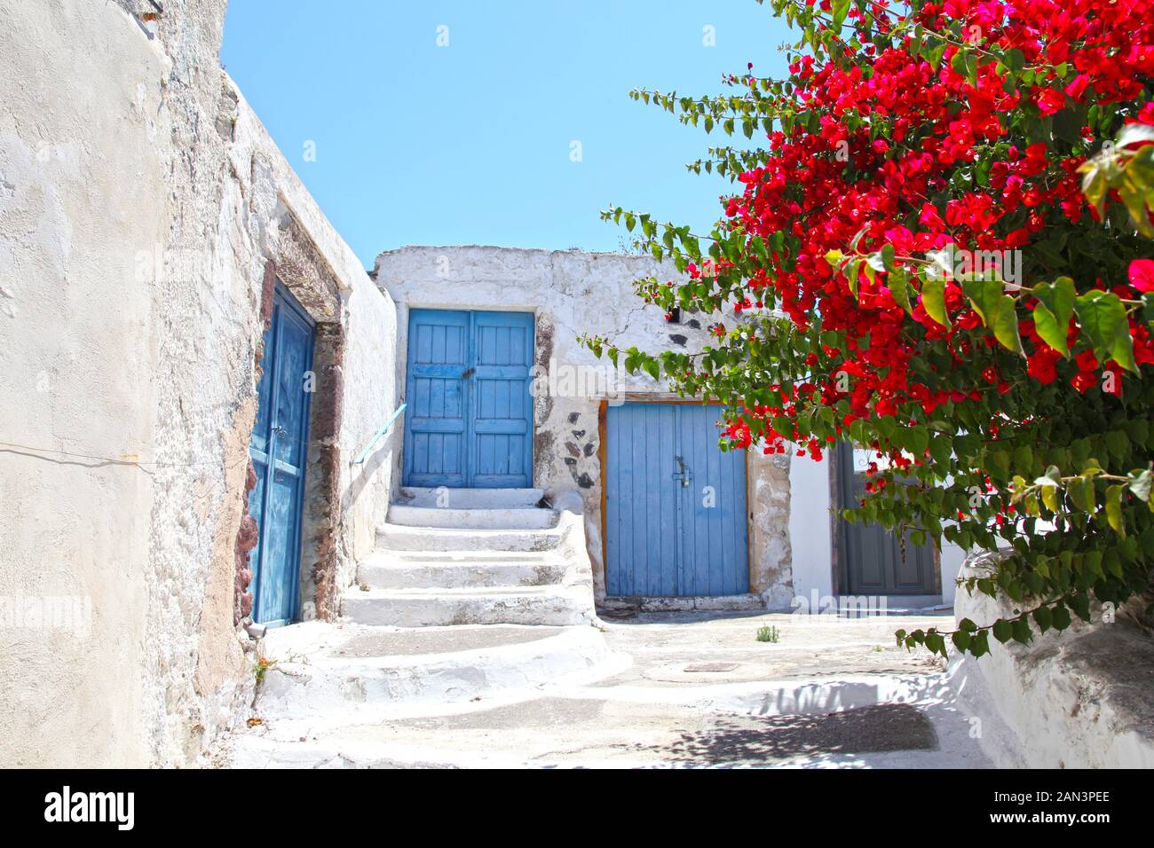 Murs peints en blanc avec portes bleues et fleurs de bougainvillea rouges au premier plan, dans le village traditionnel de Megalochori, Santorin, Grèce. Banque D'Images