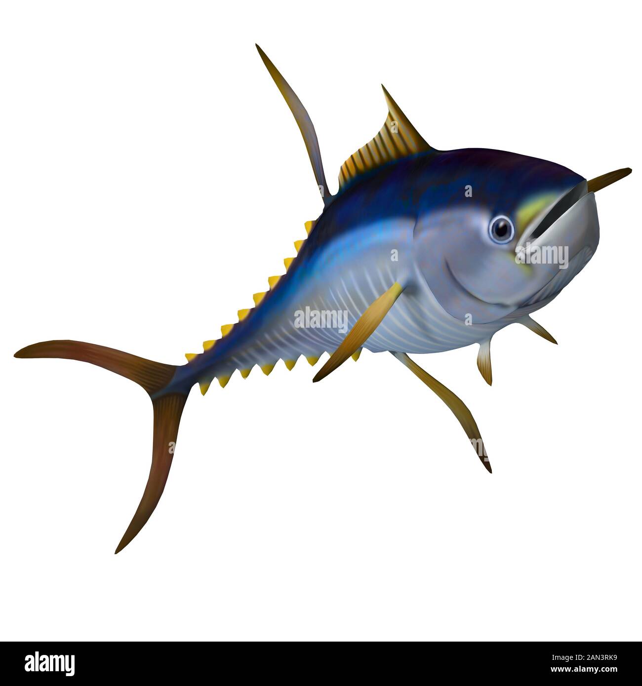 Le thon de Yellowfin est un poisson d'eau salée prédateurs qui vit dans les océans du monde entier. Banque D'Images