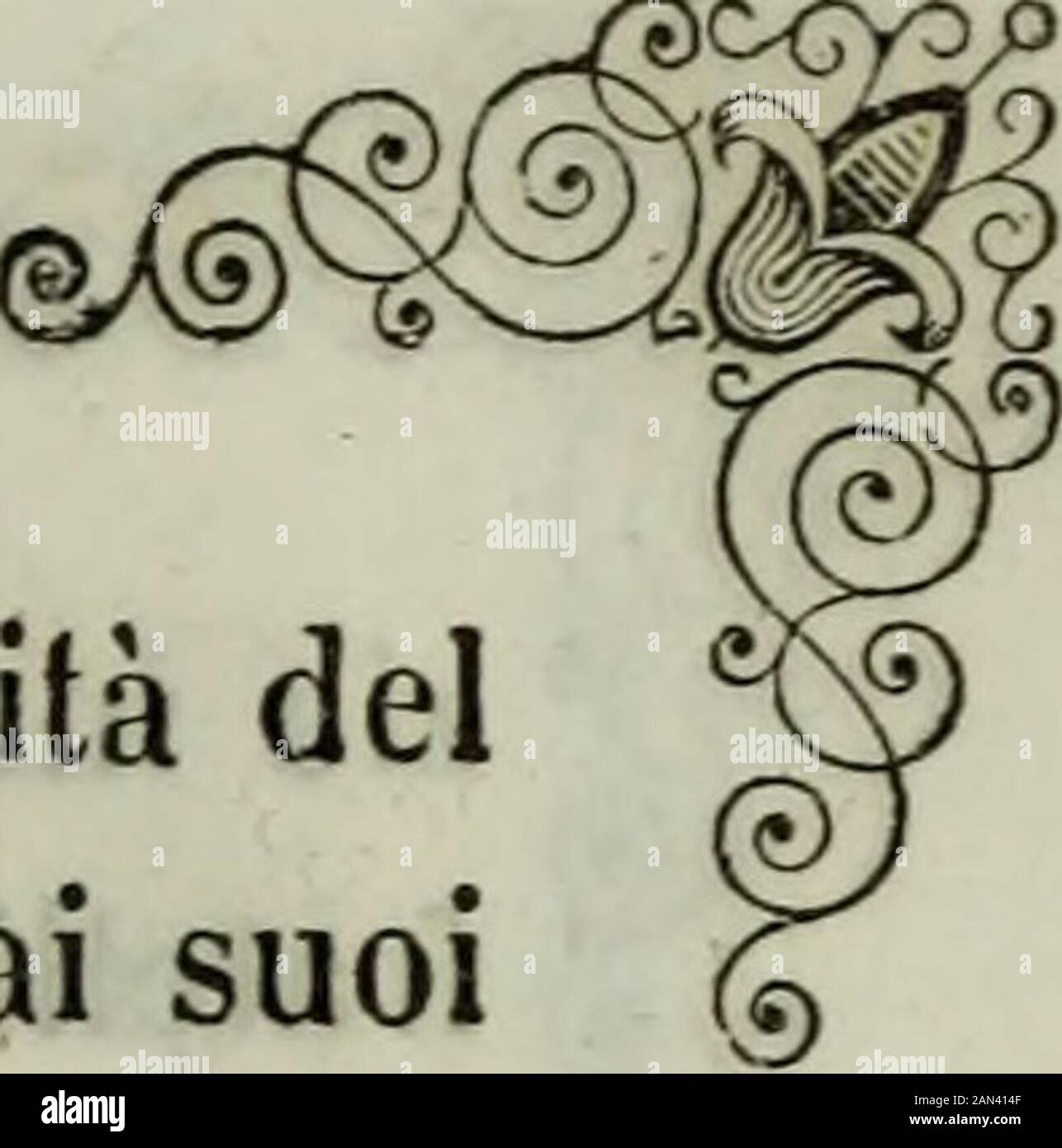 Storia di Castiglione delle Stiviere sotto il dominio dei Gonzaga . e filippi al carro, se lo•si voleva commerciare fuori di Stato 5 e che a nessunpatto si pottenere il permesso per 1 esportazionedel vino. Poco dappoi, ai 4 9 luglio, si risolvette don Rug-geri di portarsi a Milano, di là a Pavie, indi al campocesareo, per eccitare il conte commissariario ad impartienza ritardo requisle posiarie disposizioni, affinchè il prin-cipe volbeegsi no. OT-tenne una lettera pel principe, in cui eragli assegnato iltermine di quindici giorni a dichiarare sopessese nel suos Banque D'Images