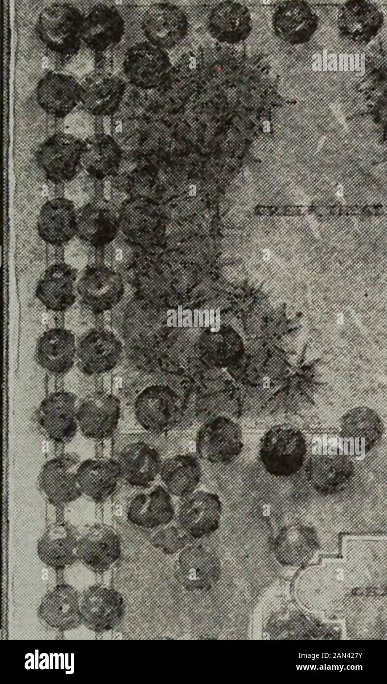 Le reptonien 1917 : une publication annuelle représentative des travaux dans le cours professionnel du jardinage paysager à l'Université de l'Illinois . Trente-neuf ! 1 R-i GÈNE Ria L P T WILLOUCHBY : COIXEC A College Group H. S. PvEID fort!l le 19 17 R ept o nian Senior Design lois G. Guild Cette conception pour le Willoughby College for Women présente quelque chose de différent et contrairement à la solution présentée pour les hommes.Au Lieu de trois groupes distincts de bâtiments il existe mais l'un et l'autre est un peu près de la partie centrale de la propriété la recreativearea est située à l'est. Banque D'Images