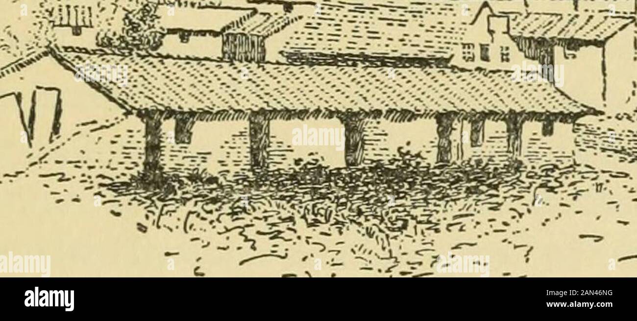 Les cadenas de Californie et leurs missions . 1. / Mission San Jos:^; The Padres Little Game atTortillas, et Quelques remarques sur Le Flagging ^fr^IL première ville de White mans à être officiellement mis en place dans Cali-^^ fornia était San Jose, et c'est une jolie petite ville, la quiteith une visite; Mais n'y allez pas avec l'attente de voir la Mission San Jose, car elle n'est pas là et n'a jamais été. ITIS est un endroit assez bon pour commencer, cependant, pour la Mis-sion, s'embarquer sur un train local qui vous dépose quatre miles de l'adolescence à Irvington, une agréable ville de campagne dans la riche région fruitière de la Banque D'Images Les cadenas de Californie et leurs missions . 1. / Mission San Jos:^; The Padres Little Game atTortillas, et Quelques remarques sur Le Flagging ^fr^IL première ville de White mans à être officiellement mis en place dans Cali-^^ fornia était San Jose, et c'est une jolie petite ville, la quiteith une visite; Mais n'y allez pas avec l'attente de voir la Mission San Jose, car elle n'est pas là et n'a jamais été. ITIS est un endroit assez bon pour commencer, cependant, pour la Mis-sion, s'embarquer sur un train local qui vous dépose quatre miles de l'adolescence à Irvington, une agréable ville de campagne dans la riche région fruitière de la Banque D'Images