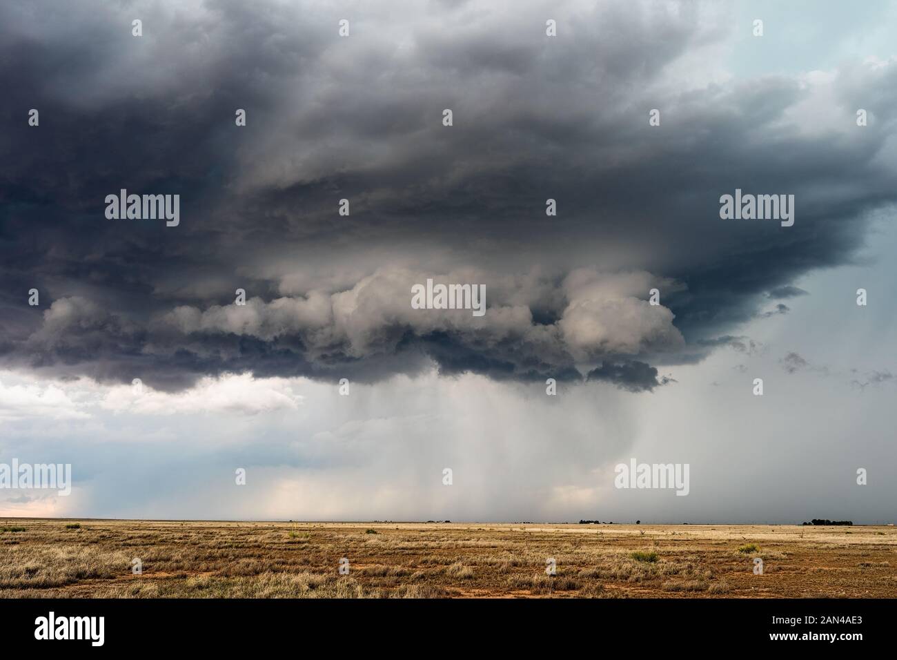 Tempête sombre nuages dans le ciel alors qu'un orage violent approche de Roswell, Nouveau-Mexique Banque D'Images