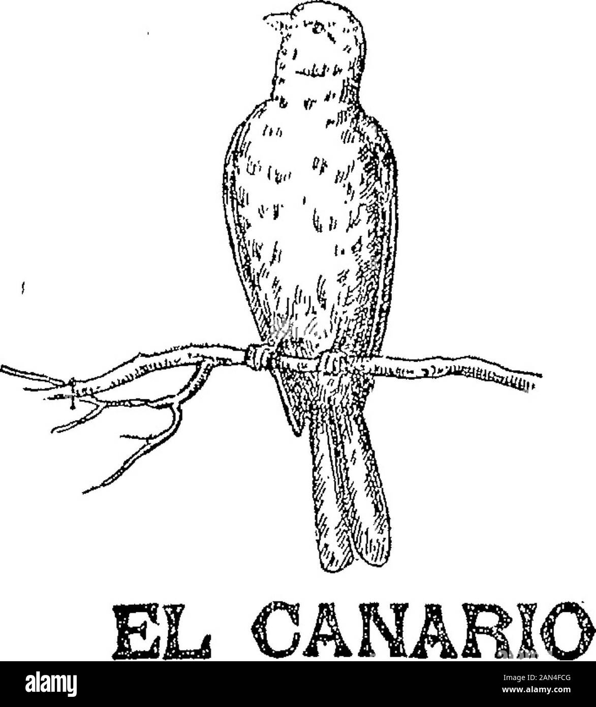 Boletín officiel de la República Argentina1907 1 ra sección . , Marca Registeraba Julio 20 De 1907.—Taubenschlag Hnos. AR-tículos de la clase 53. V-27 julio. AETA n 21029 EAGLE Julio 20 de 1907.—Eagle Pendí Company. V-27-julio Acta no 21.030 SSJ Julio 20 de 1907.-Vacchá y Cía.-Artícu-los de las clases 68 y 69. V-27-julio. AE*S O» 19890. Diciembre 13 de 1906.—Moller y C0.—Tie-rra romana, cementos portland é hidráulicos yespecialmente cemento amarillo de las clases 7y 29.-(Modificada). V-26-jaIio, Aeta no 21.026 Banque D'Images