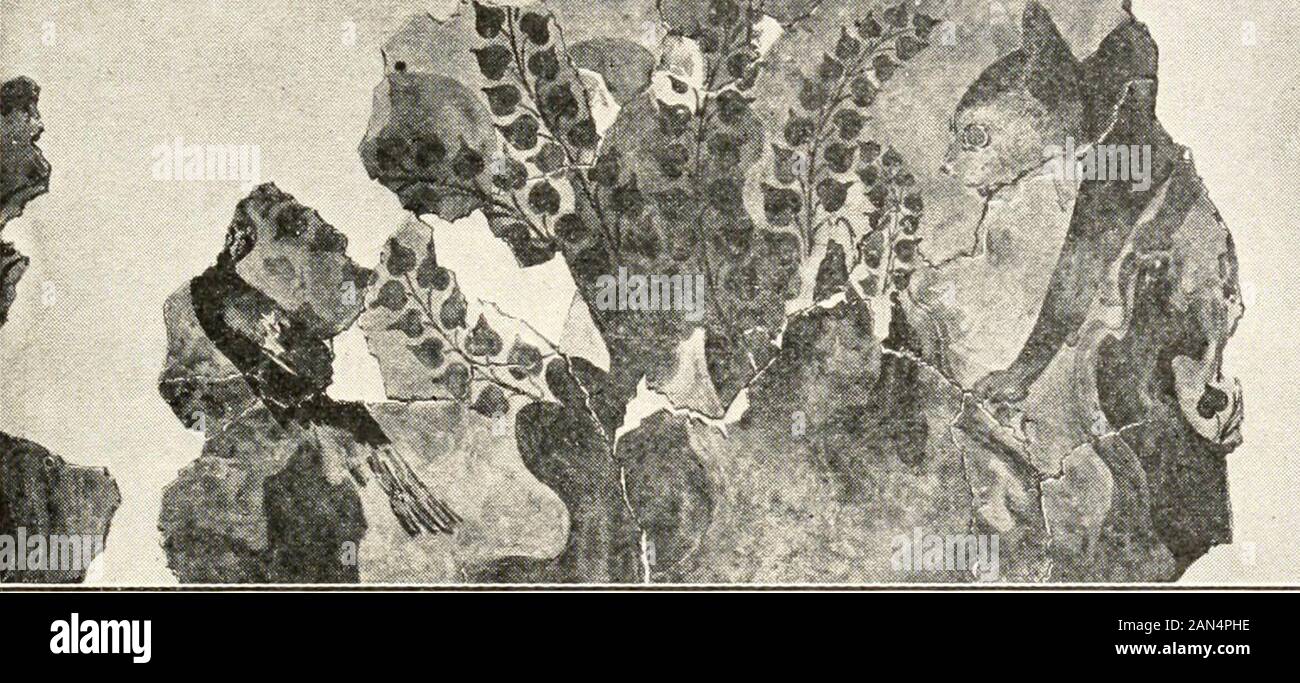 Plus de photos de la magie il y a bien longtemps, les récits des peuples de nombreux pays, avec des reproductions d'œuvres d'art et manuscrits anciens . Avec la permission du Metropolitan Museum of Art COPIE D'une fresque OU PEINTURE MURALE D'UN CHAT APHEASANT LA CHASSE. La fin de l'époque Minoenne, 1600-1500 B. C. De Hagia Triada, Crète. Maintenant dans le musée de Candia, en Crète. Il y avait des gens qui vivent sur les rives et les îles de la mer JEgean almostthree 000 ans avant Jésus Christ et ils avaient de nombreuses grandes villes. Le ^ce growthof art Egée en Crète est appelé l'art minoen, à partir de la période de Minos, et refersto l'art de la population du Crêt Banque D'Images