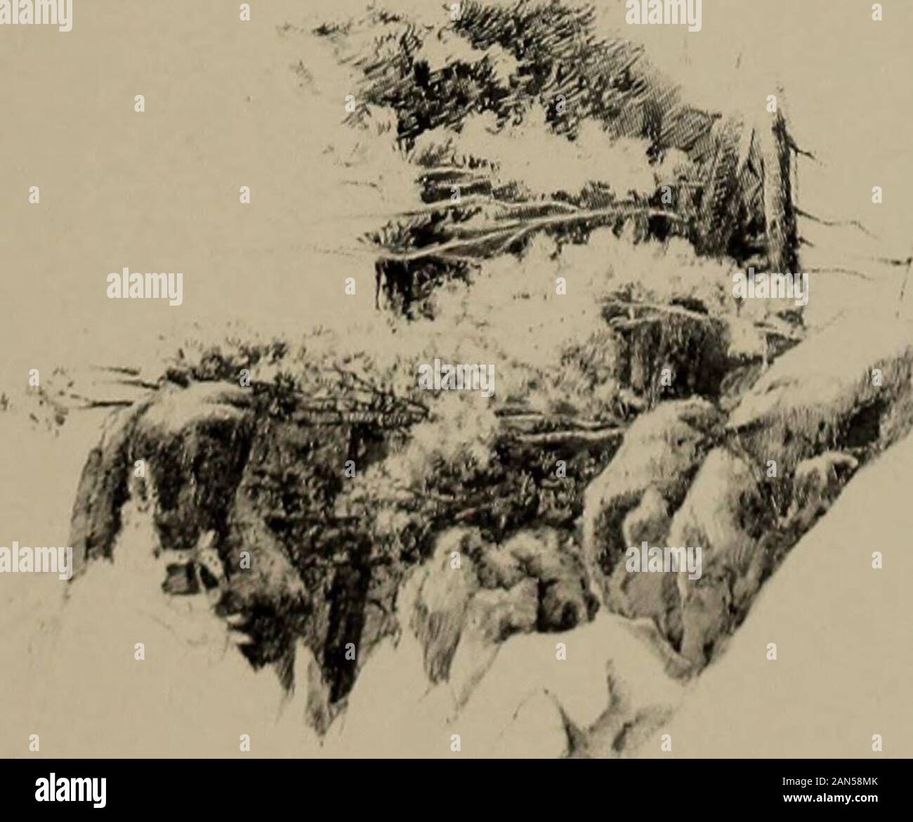 La danse à Joe Chevalier, et autres poèmes . M. Ole Buzzad de Tukey. Hawk il essayer de plonger le tween de rails, grève, il anbif hes sur la tête de rail, un falldown dade. M. Ole il Buzzad Tukey kinder sur-desserrer, sauts et à tout bout vers le bas une hopercross une route de wid lenteur une dignitude sayin,et à tout bout de : Les poires pour moi dis yerwaitin sur de Lawd aint si mal ; un denas il squar comme à tout bout, un gittin prêt fera un déjeuner léger, il sez : de feu M. Spar-row Hawk il fait bon après tout ; il sezhe gwine ter montrent comment une genlman dîne;yassir, il fait bien, et il donetoke wid dat M. Sparrow Hawk en milieu hes.. j'ai 65 ans Banque D'Images