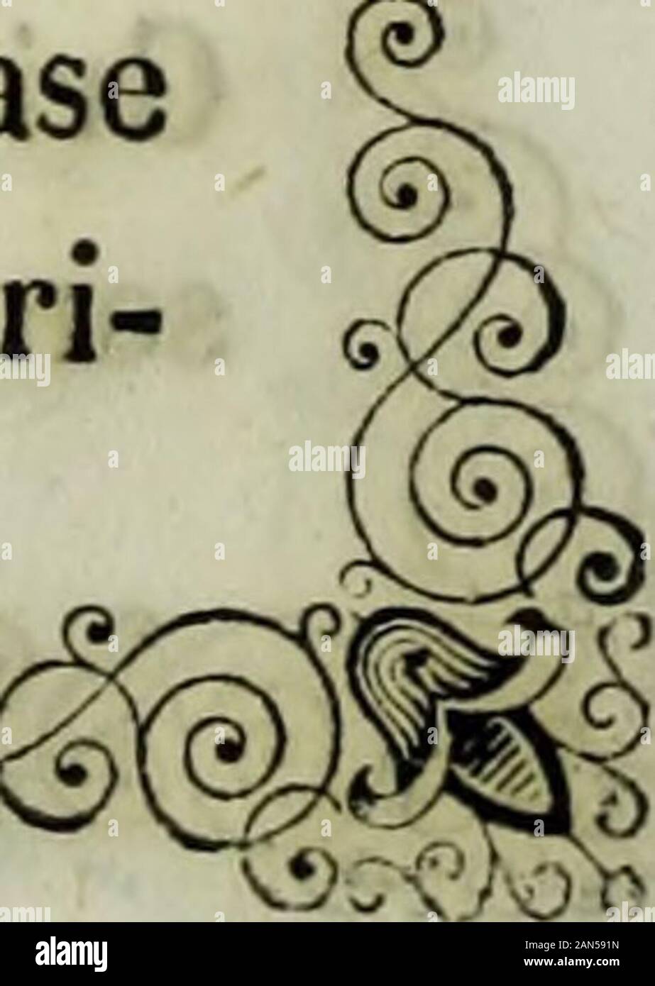 Storia di Castiglione delle Stiviere sotto il dominio dei Gonzaga . -&Lt;5^. Q^0&gt ;-^j&gt ; lt;&Hfe 4148 t-o provvide donia a questo spirituale besoin. Le Prese op-portune deliberazioni col vescovo, e dallo stesso-incorag giata vi mandava ogni festa en raison padri gesuiti, che si occupavano nelservigio della parrocchia. Vi si pure recavaella tutti i giorni di festa, assieme a qualche ver-gine sua compagna, ed en sante opere impiegavasi. Re-stavano quelle genti edificate singolarepietà dall esempio di, di cui quelle signore in se piùlaudabile offrivano slesse il esempio. L'ARUC loro principale ère Banque D'Images