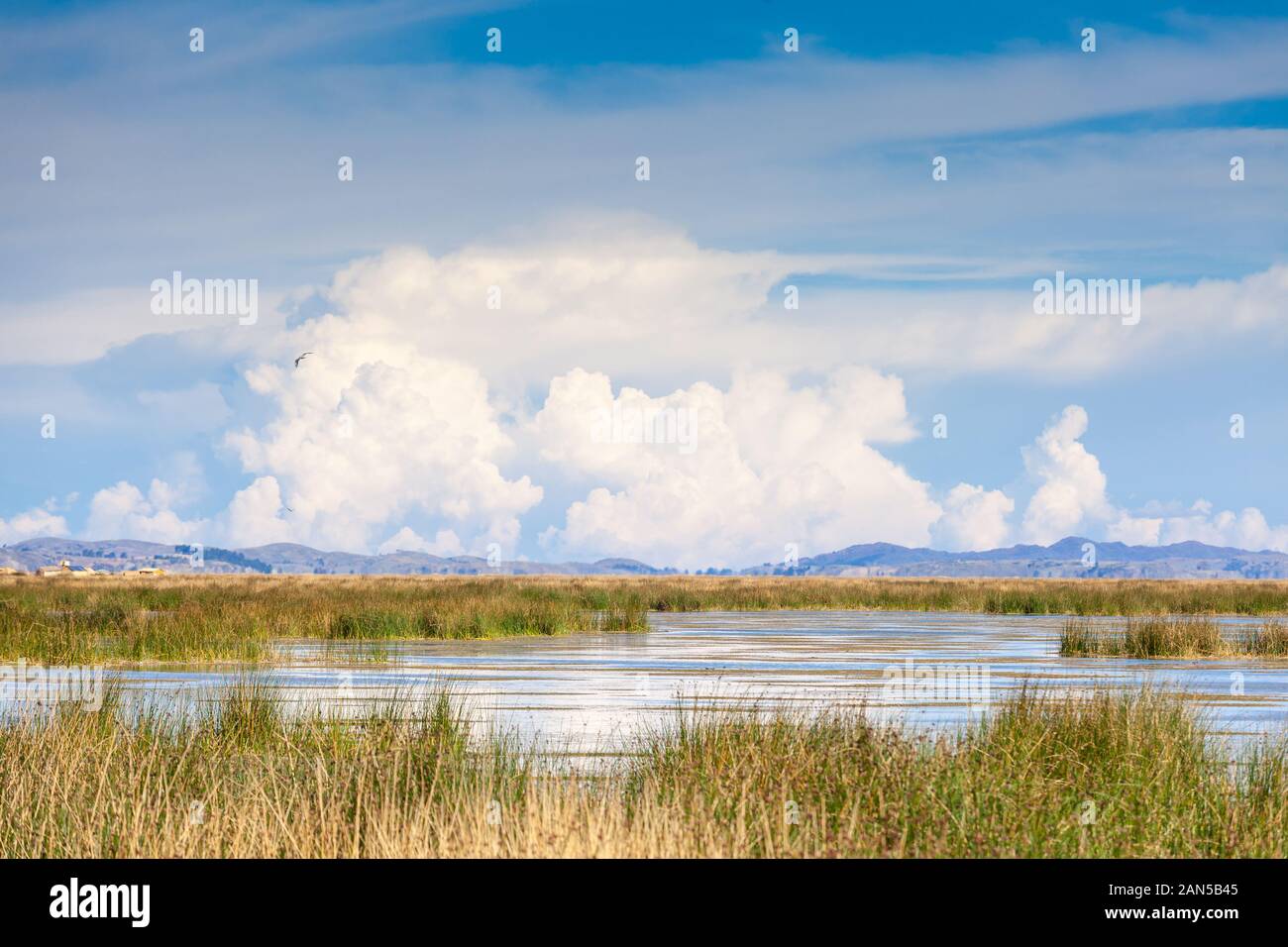 Voir à travers les roseaux, des algues sur l'eau, loin des îles flottantes des Uros sur le lac Titicaca au Pérou, en Amérique du Sud. Dans le ciel bleu nuages blancs. Banque D'Images