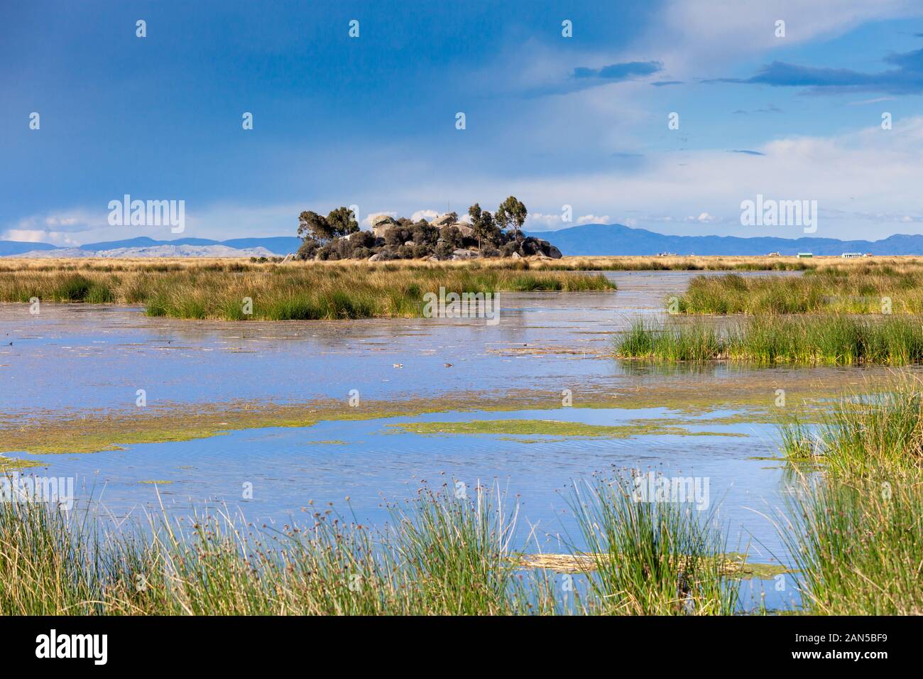Île avec des pierres et des arbres, près des îles flottantes Uros sur le lac Titicaca au Pérou, en Amérique du Sud. Banque D'Images