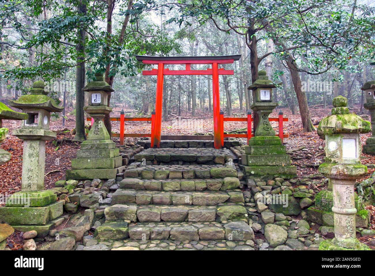 Porte torii au sommet de vieux marches en pierre au Grand Sanctuaire de Kasuga au Japon. Banque D'Images