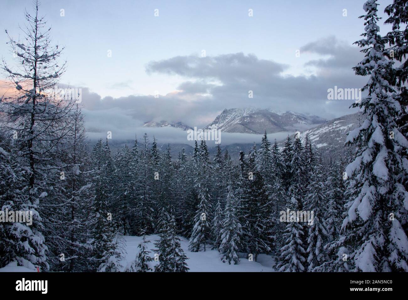 Un coucher de soleil d'hiver et raquettes d'Ibex pics dans les montagnes Cabinet, à partir d'Eagle View, dans le nord-ouest du Montana. Ibex Peak a une altitude de 7 676 f Banque D'Images