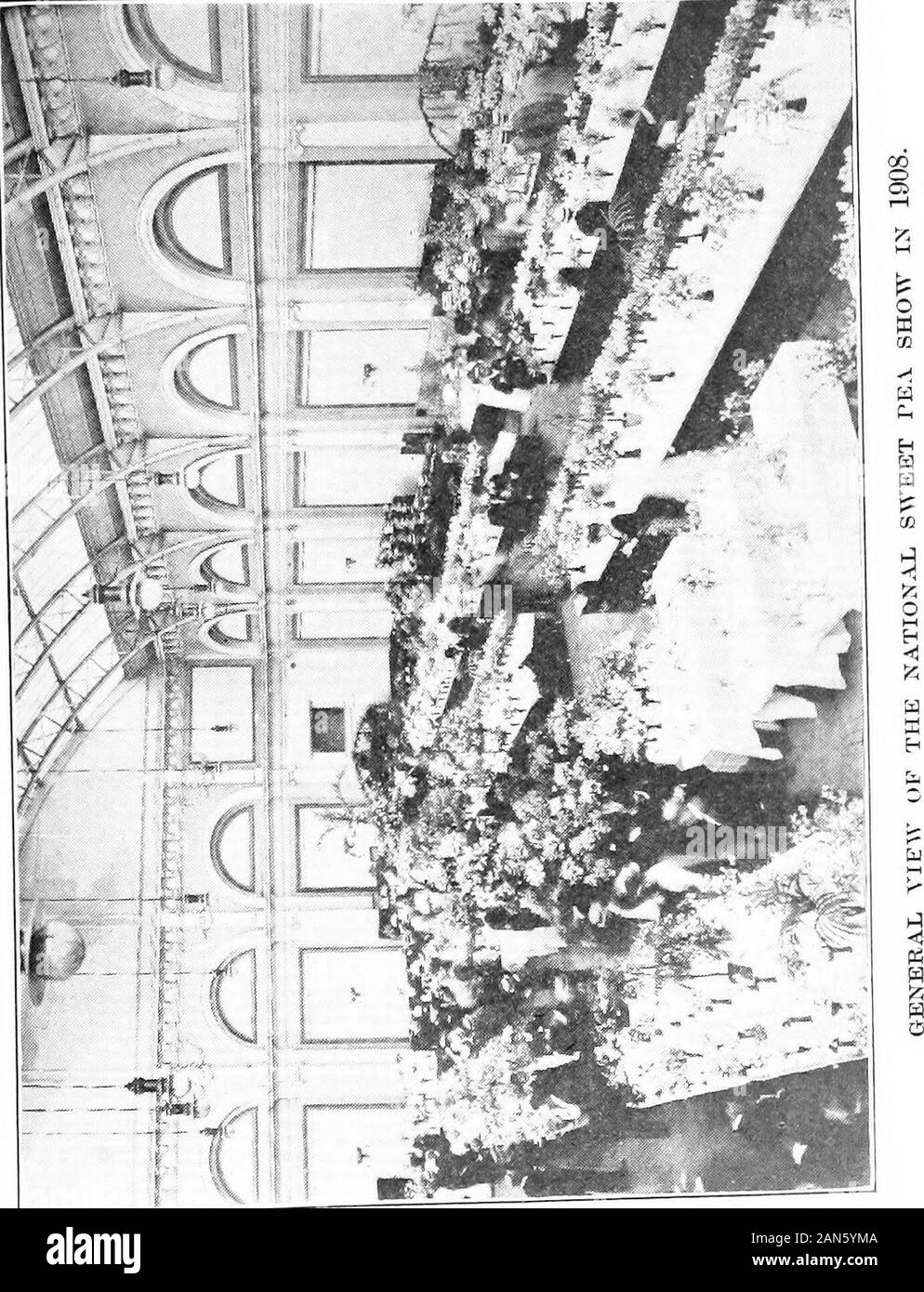 Les petits pois et comment les cultiver . plongeon une autre lumière. L'année prochaine, vous shouldtrench le pois de l'intrigue, et mélanger l'excréments avec les flèches bas ofsoil ; je vous conseille pas d'interférer avec une autre au printemps,au-delà de donner la suie, le superphosphate et lime. Les petits pois sur Bamljoo Pôles.-Le système d'growingSweet les pois qui vous décrire est un tel qu'un contre nature Ishould soins pas de garantir son succès ; en tout cas, c'est se donner bonne youa faire face à de nombreuses difficultés. Les haricots d'Espagne sont très souvent une formation upsingle polonais dans la façon dont vous le dites, mais elles grimpent, naturellement, l'aide andwithout Banque D'Images