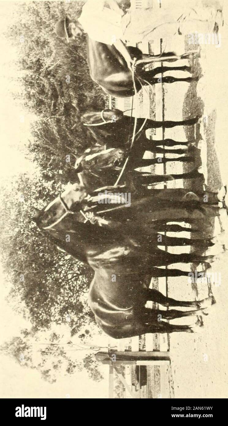 La Nouvelle-Zélande dans l'évolution, industriel, économique et politique ; . ds qui hadbeen pillage du pays et les indigènes avaient fui. almostall Le pire, en tout cas, avait disparu,alors que le mieux était devenu citoyen décent. Après un court interrègne de chaos-Lieutenant-Land Court, Administrateur, 1842-1843 ; Le Capitaine Fitzroy, Gouverneur,1843-5-un autre homme fort est arrivé au pouvoir, CaptainGeorge gris, le plus grand pro-consul de l'colonialempire. Il a trouvé un héritage de désespoir. Wakefieldsscheme de colonisation était déjà ruiné par le removalof ses fondations-l'approvisionnement régulier de la terre pour disposalat e Banque D'Images