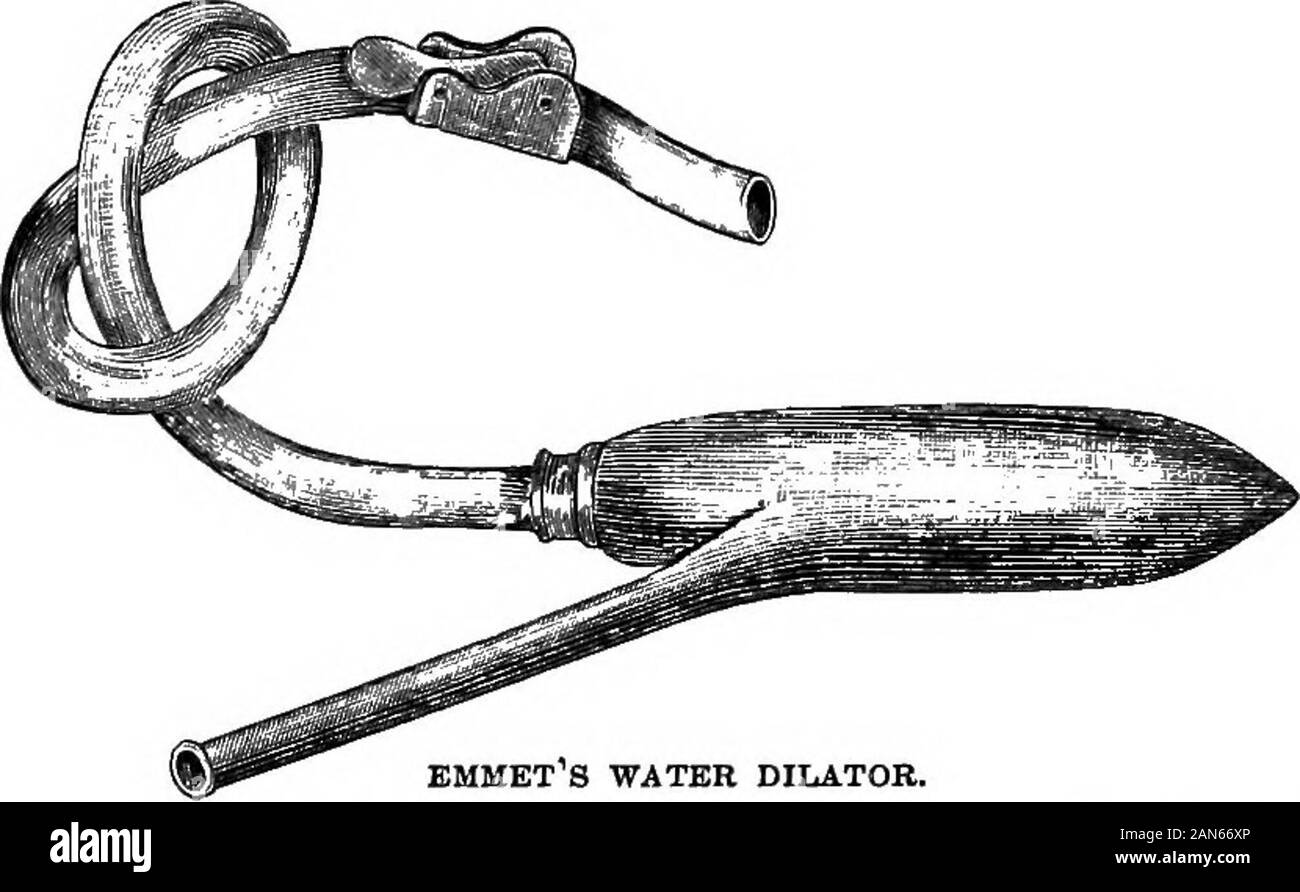 Un dictionaryBeing médical illustré ! un dictionnaire des termes techniques utilisés par les auteurs sur la médecine et les sciences de la garantie, dans le latin, anglais, français et en allemand . EMMET S'éponge. DTLATOR adiiistable ; e, plaque, byforceps / kDob compris ; g ; une canule, de l'opérateur, pour tabing.. EMMETS dilatateur de l'eau. moyen d'un personnel, et il n'gonflé après l'autre (metal-lic) tube a été glissé par-dessus à l'Umit la partie du tube Banque D'Images