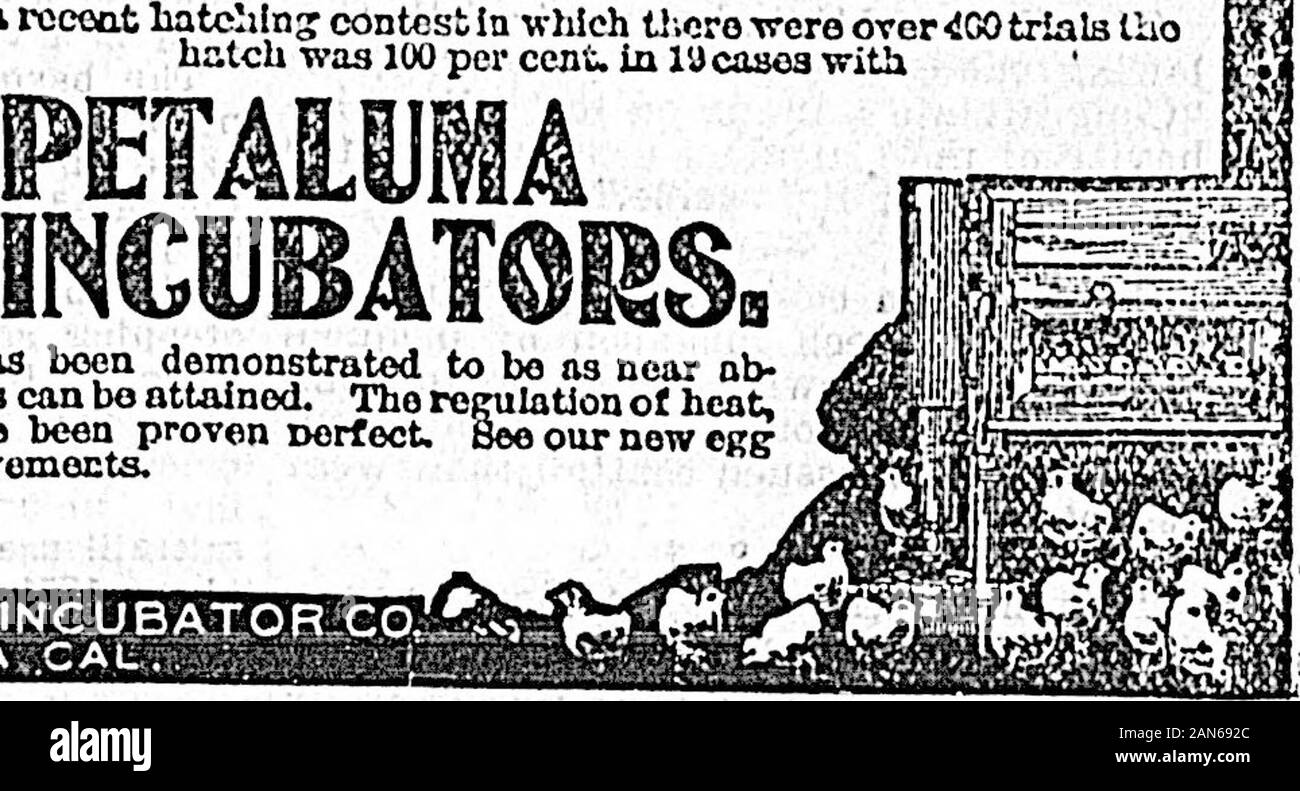 Daily Colonist (1900-01-25) . Cette machlno boon a démontré à bo comme près de nb-Boluto ntlainod la perfection comme bo. Règlement Tho chaleur ot,air andmolsturo Dorfect bavo boon prouvé. Beeournewcggtray et autres améliorations. &Gt ; &gt ; ..,,, : ;/.. ? !  ? ;&Gt ;•{ ? ! Catalogues et prix sur APPUCMIOH de ménage et le grand Majestic Snoge hasno supérieur. Il • workright doiee sa. C'est un grand eaver carburant..Vous ne pouvez pas briser. Il willlast - une vie. Voir notre gamme complète. Oeo. Powell S Co. J27 Govemmmt Viclorla St.,B,C. Banque D'Images