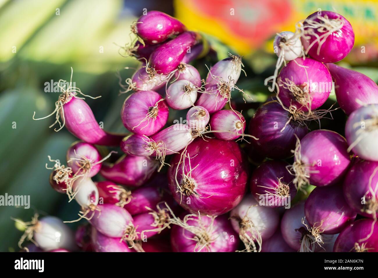 Un bouquet d'oignons rouges (gros plan). En vente sur un marché agricole dans une petite ville appelée Praid (Roumanie). Légumes frais et mûrs. Alimentation saine et biologique. Banque D'Images