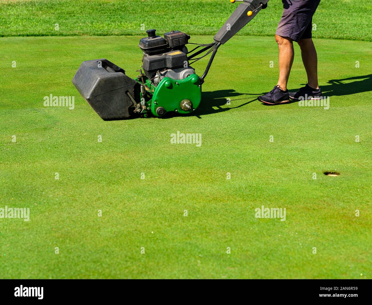 L'entretien d'un green d'un terrain de golf Banque D'Images