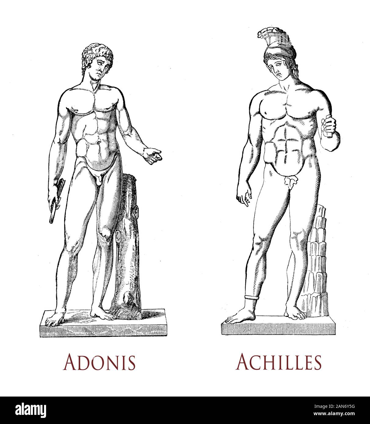 Beauté masculine grecque : musculature et grâce de la forme masculine comme dans le classique des statues d'Adonis amant mortel de la déesse Aphrodite et Achille héros de la guerre de Troie Banque D'Images