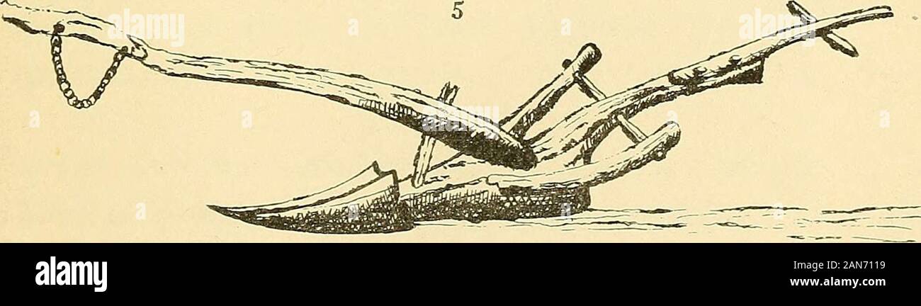 Conférences sur l'élevage, livrés avant l'Université d'Oxford ; comprendre un tel compte du système de l'agriculture, le traitement des animaux domestiques, l'horticulture &c., poursuivis dans les temps anciens, comme peuvent être recueillies à partir de l'Scriptores rei rusticae, Le Georgics de Virgile, et d'autres autorités classiques, avec avis de la usines mentionnées dans et de la columelle Virgile ; . JLeXxvuJyr. lect. in.] roman d'élevage. 99 formée des ilex, car c'est le plus fort woodfor bœufs pour labourer avec- Evt un av^atrj bjxooos rji"5 iXvpari Trrjgas ev,r6jj,&lt;pve(nv ireXaaas irpcxrapjipeTaL l(BTT Banque D'Images