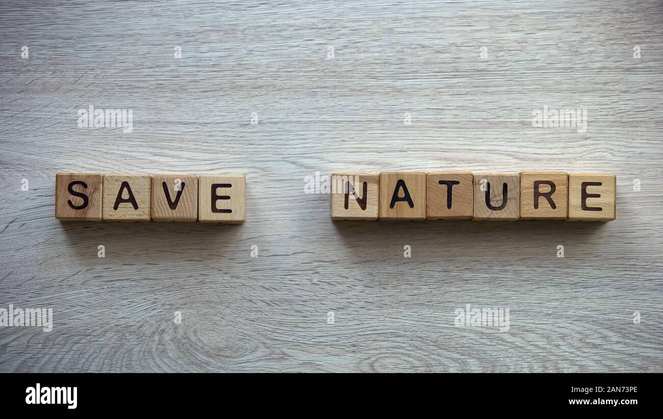 Sauver la nature expression écrite sur les cubes en bois, protection des droits des animaux, l'écologie Banque D'Images