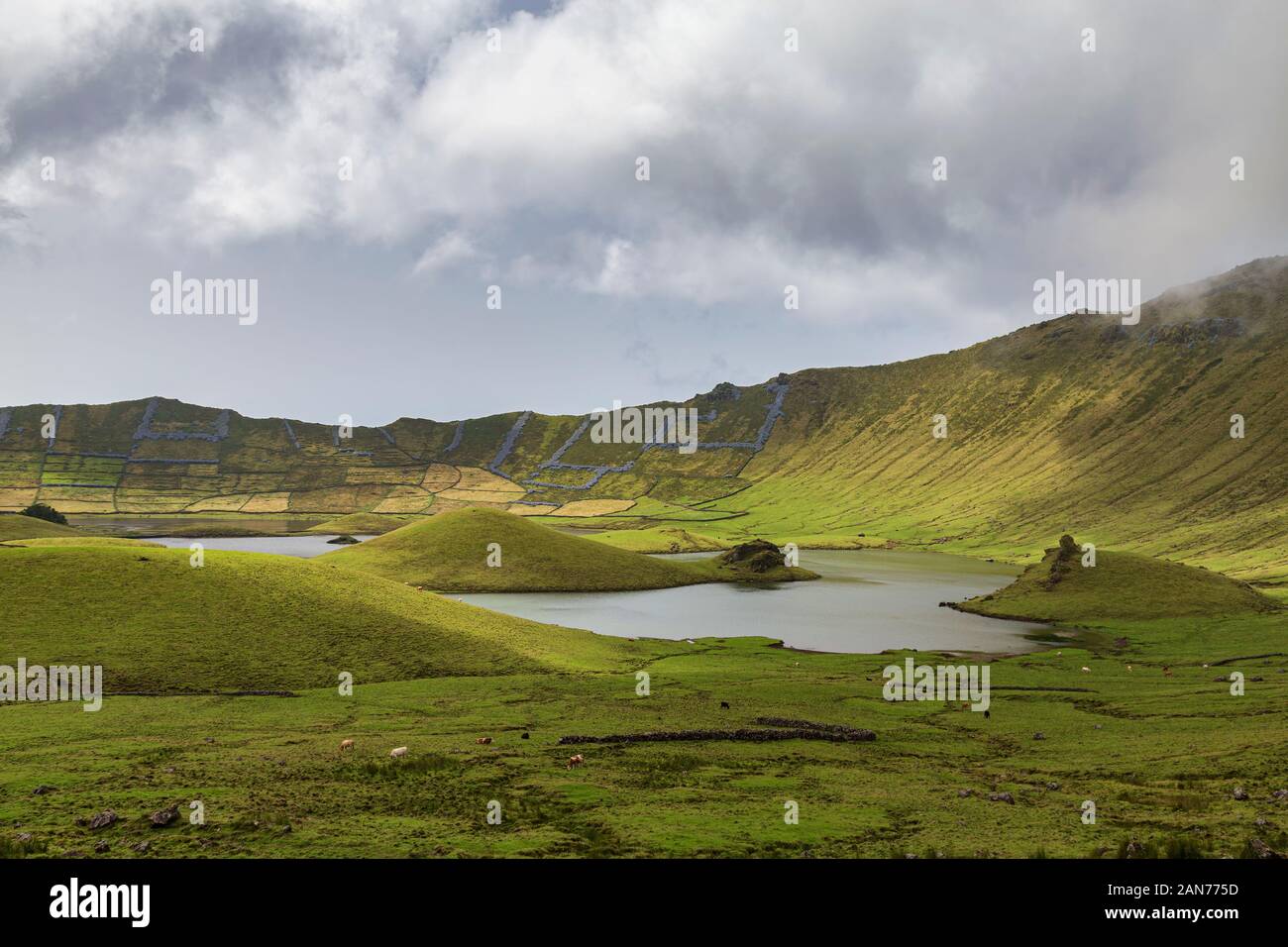 Les pâturages et les lacs à l'intérieur du cratère Corvo sur l'île de Corvo dans les Açores, au Portugal. Banque D'Images