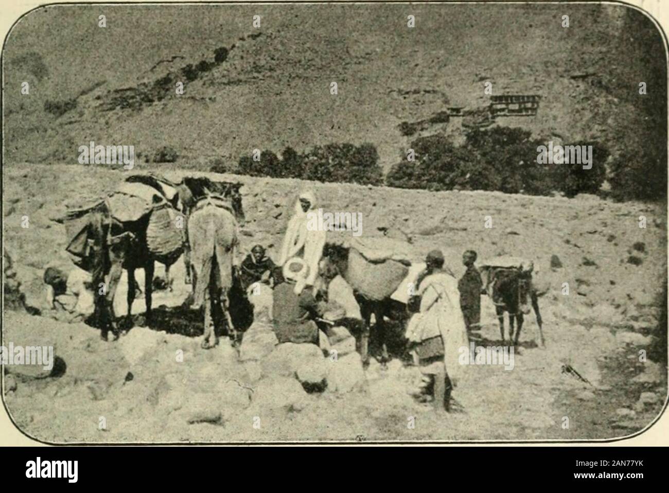 nous sommes la somme de nos rencontres