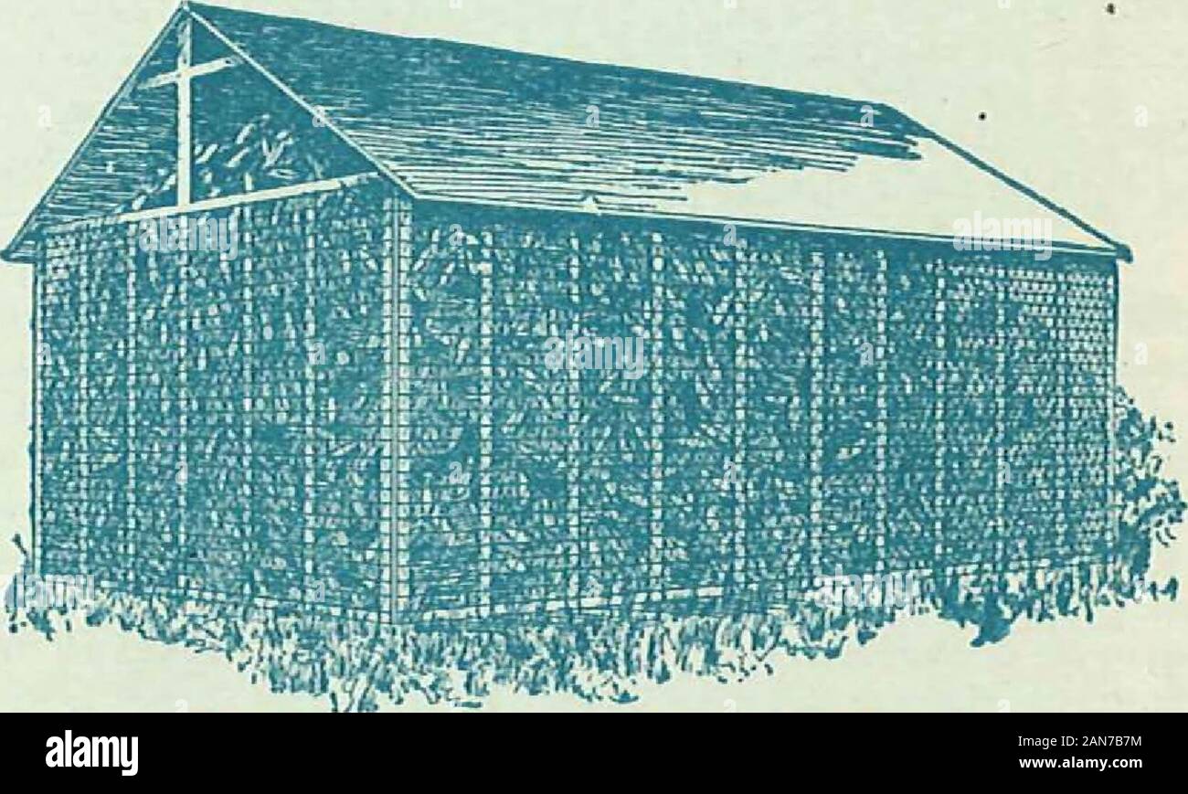 Clôture américaine, Catalogue no27 . Dimension des mailles de hauteur env. Wt. Demandez à votre revendeur pouces en pouces par Rod Lbs. pour des prix 58 29,5 50 2x4 2x4 2x4 25,4 42 21,4 34 17,3 26 2x4 2x4 2x4 13,2 18 9.2. Lit d'armature recouverte d'acier américain Com encoffrement 1 de l'information précieuse pour la Gorn Kaiser ce qui constitue un boisseau de maïs épis de maïs généralement l'on entend en parlant de huche de maïs la capacité. Un boisseau de maïs toujours meanssufficient des grains décortiqués pour faire un boisseau de poids ou un boisseau dans la mesure. Cornis, cependant, souvent traitées et vendues dans l'oreille. Par conséquent, il est tenu compte dans le wei Banque D'Images