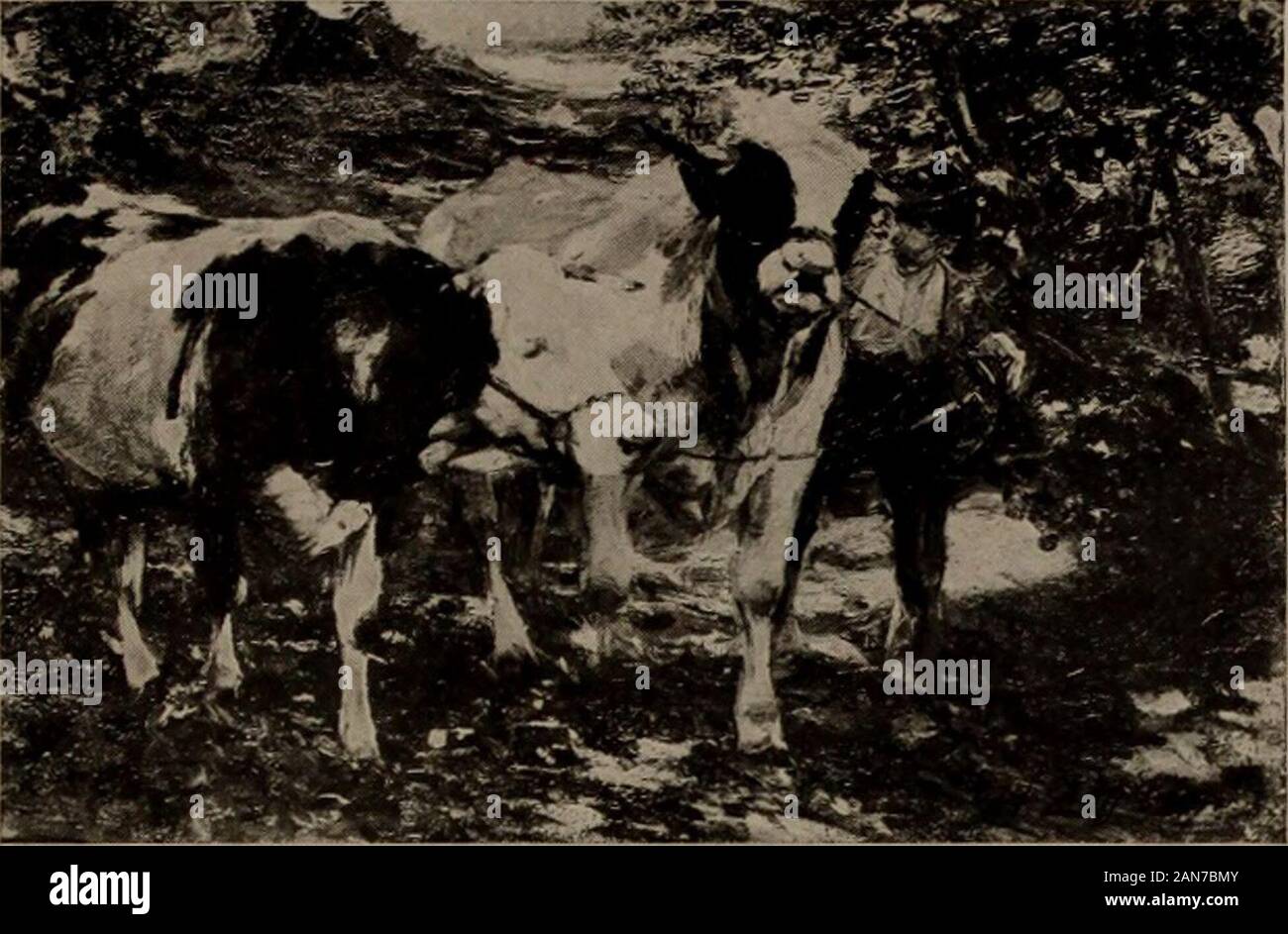 De précieuses images par affaires et maîtres américains . /V&& Heinrich Johanii Zugel allemand : 1850 -154-boeufs, hauteur 21 cm ; longueur, 31 % po dans la fraîcheur de l'ombre d'une forêt ouverte un garçon est leadingforward une paire de boeufs en noir et blanc, le groupe ap-pearing dans le près de premier plan au détour d'une route sinueuse. brownand Plein soleil d'un été daypercolates au milieu du leafage marbrure, le backsof large les animaux, dappling touchingbits la chaussée, et de la croissance de la route à un procès équitable, vert clair, insharp contraste avec le vert de l'ombre dense. Signé en bas à droite, H. Zugel, 1903.PU Banque D'Images