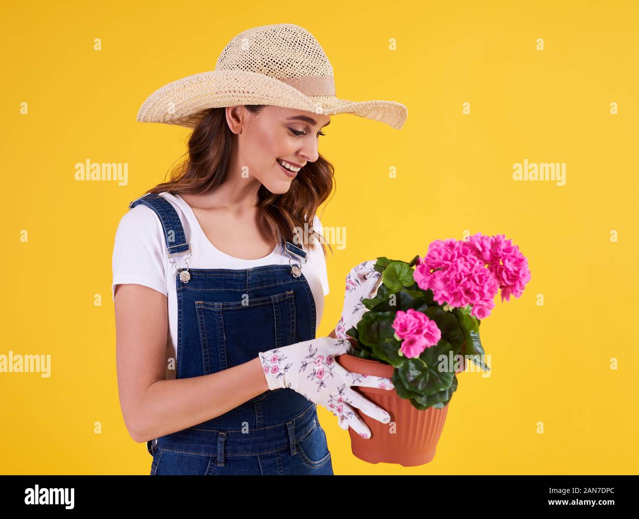 Jeune jardinier holding pot de fleurs avec de beaux pélargonium Banque D'Images