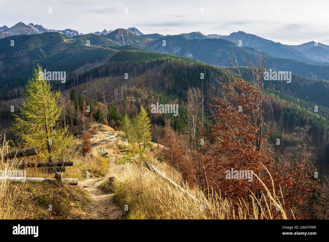 Parc National des Tatras. Paysage d'automne. Vue de Nosal. Banque D'Images