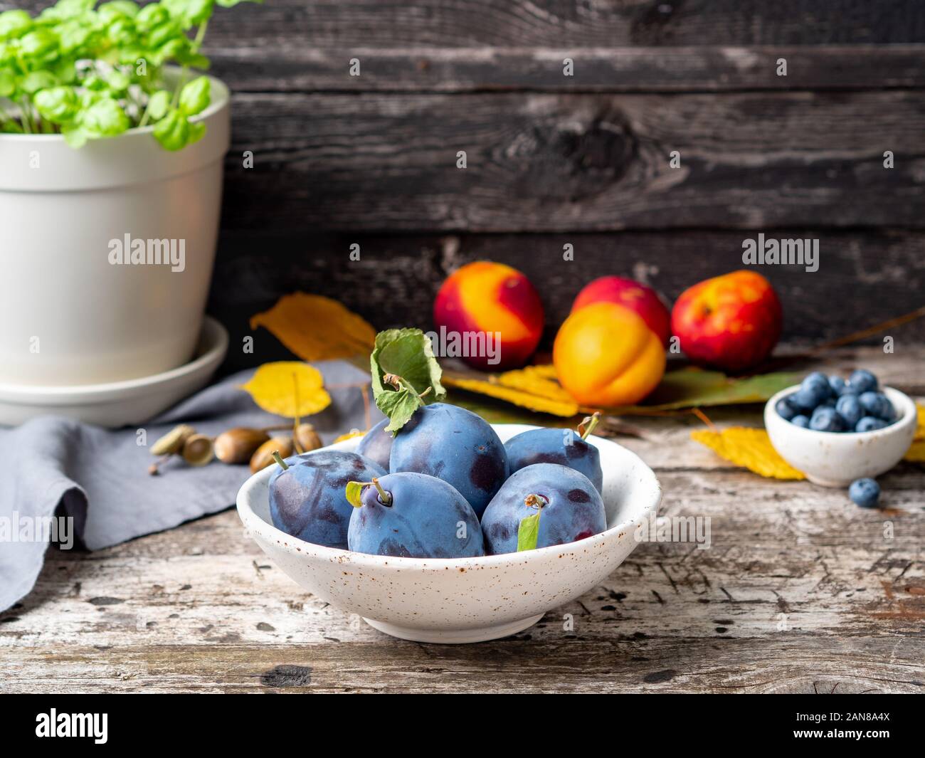 Automne fond bleu-violet avec des prunes dans un bol blanc sur la vieille table en bois gris, side view Banque D'Images