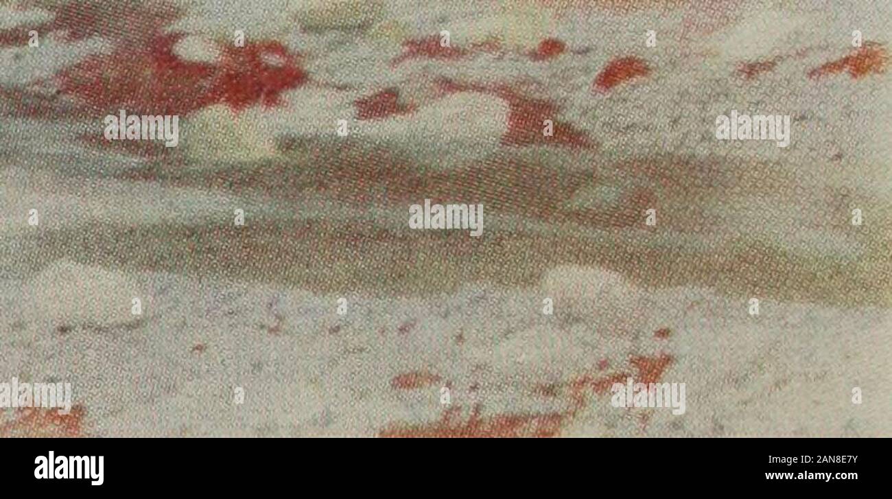 AFripp DFripp George et Alfred . lker Art Gallery. Le Mont Blanc de près de Courmayeur, Val d^Aosta(dans les huiles). (Exposées à la Royal Academy, 1848). 57 Leeds. City Art Gallery. Kirkstall Abbey. Blackburn. Caversham Bridge sur la Tamise. 13| X 19i. Birmingham. Art Gallery. Le Château de Kilchurn, Loch Aire. 2 X 2S&gt ;, Bristol. Museum and Art Gallery. Tivoli (dans les huiles)^ 56 x 53. Signée et datée1837 (exposées à la Royal Academy, 1838). Streatley Mill, lecture. ^ 18 X 27|. Anddated 1853 Signé. Leigh sur la Côte d'Essex. ^ Signedand 16 X 28 en date du 1852. Baignoire. De Menstrie Holburne Museum. Une piscine encore 101 X Banque D'Images