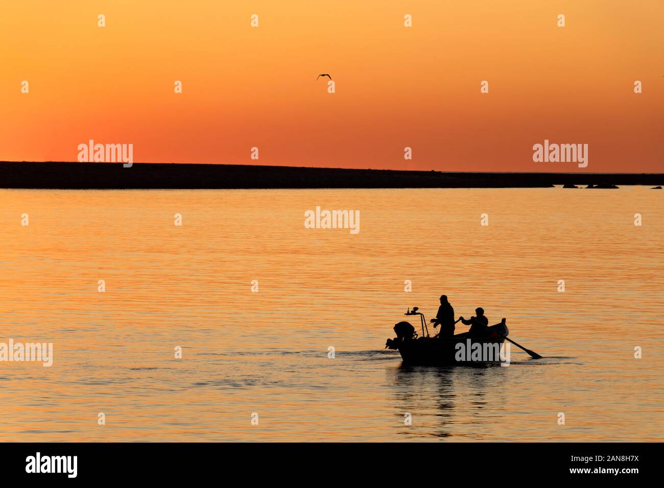 Pêcheurs en bateau à ramer au coucher du soleil dans l'estuaire du fleuve Douro, Porto, Portugal. Banque D'Images