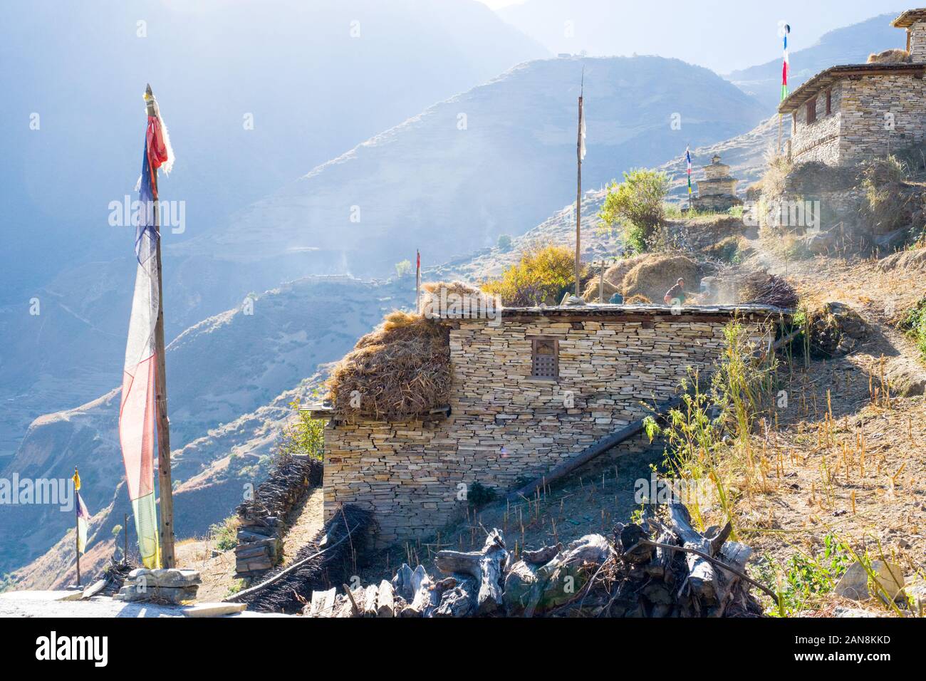 Village tibétain ethniquement de Tarakot dans la région de Dolpo dans l'ouest du Népal. Piles de cultures de séchage sur les toits de maisons Banque D'Images