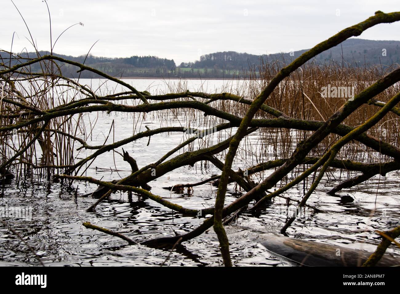 Vue de la voir Laacher sur une froide journée d'hiver Banque D'Images
