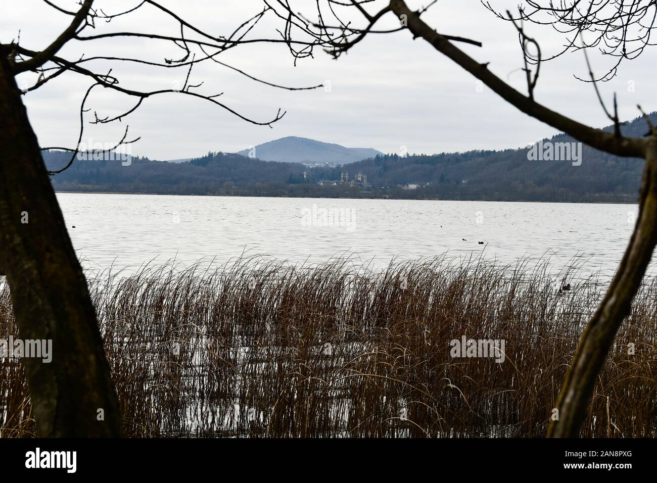Le monastère bénédictin Maria Laach à partir de la rive du lac Laacher Banque D'Images