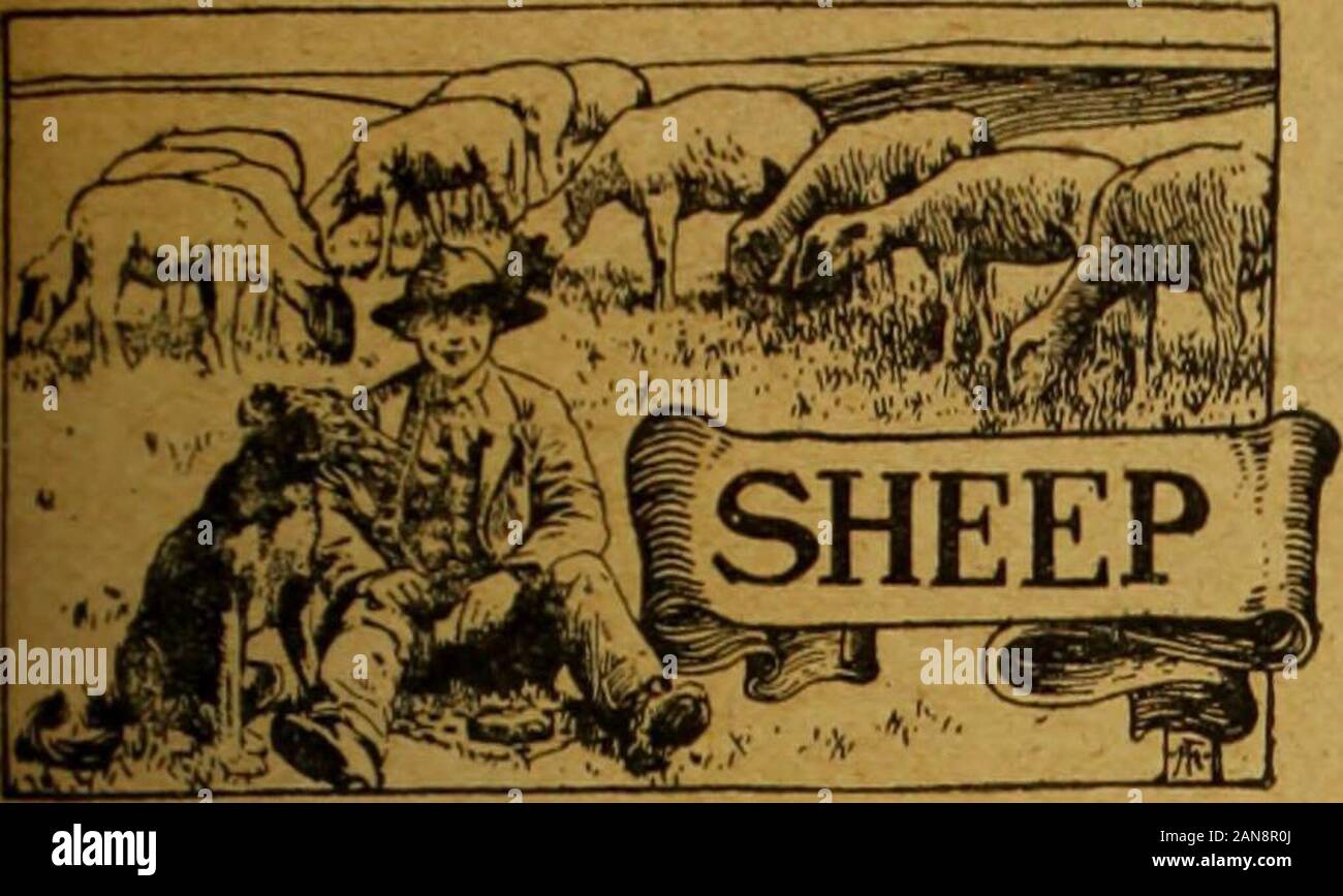 Le Mark Lane Express, journal agricole &c . ked.Si j'avais une de ces derniers je lui en spiteof dock, de mode ou d'une loi stupide, ou quoi que ce soit d'autre. Butthe queue courte de l'Hackney, qui semble plus courte l'engendrement chaque année, et d'être rapidlyapproaching point de fuite, butin certainement l'apparence du cheval. Un Hackney, en règle générale,paraît mieux placé que déconnecté, mais breedersand propriétaire ferait bien de lui laisser quelques inchesmore la queue. Avec des copeaux même generalrule tbe manes s'applique. De temps en temps, parfois très ahorse,paraît mieux avec une crinière de basse qualité ; mais aucune justification désignent toujoursla Banque D'Images