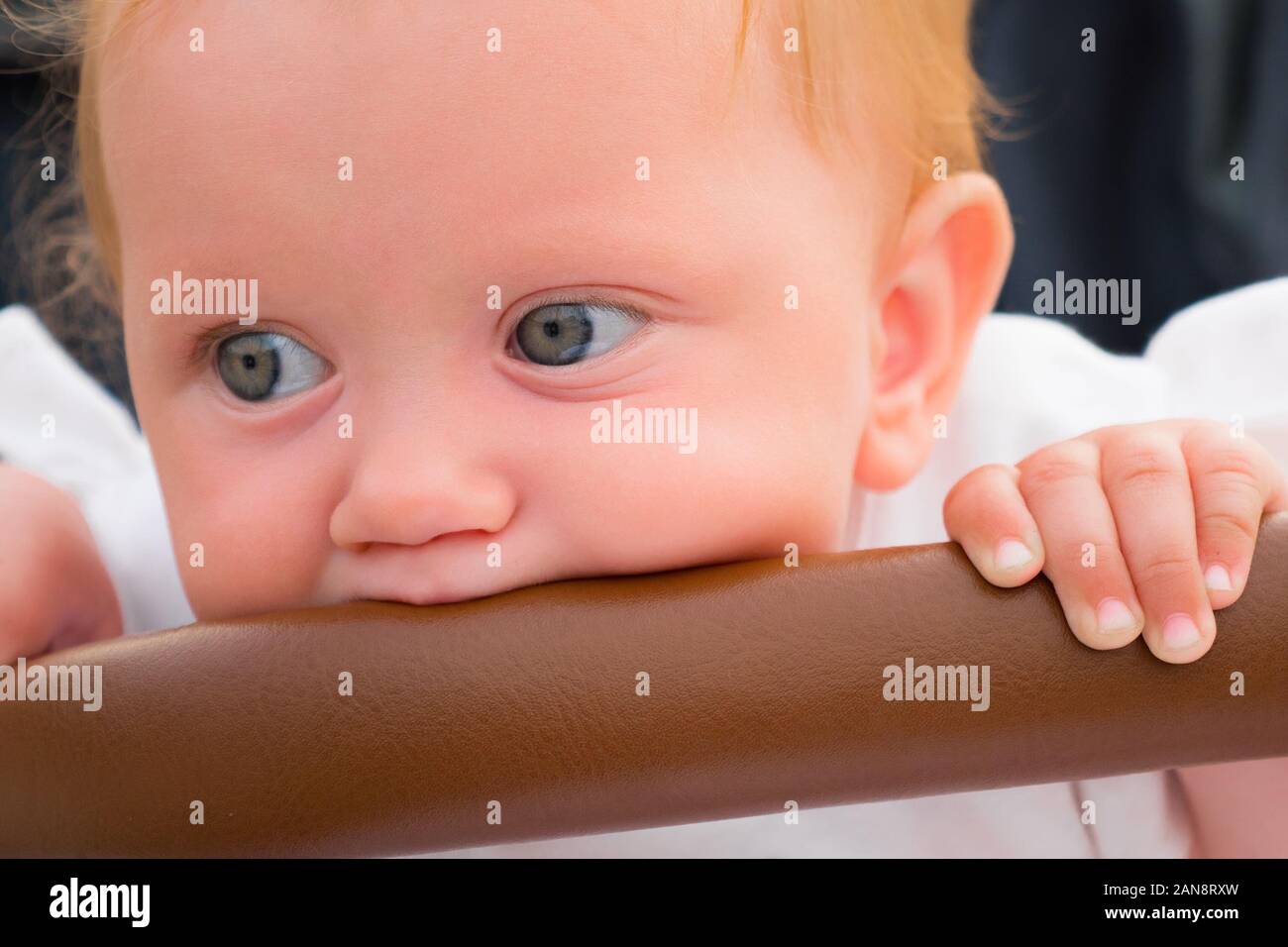 Rongeant Bebe Sur Bouclier Petite Fille En Poussette Tout Petits Assis L Arriere Plan L Expression Du Visage De Bebe Attend Bebe Parent Portrait De Fille De Bebe Les Dents Sont Couper A Travers Photo Stock